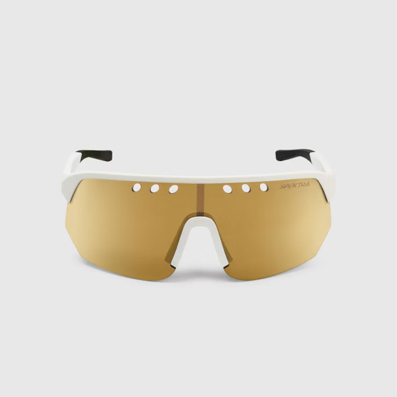 ASSOS DONZI Eyewear Gold Sunglasses