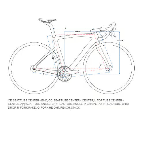 Pinarello F5 公路車