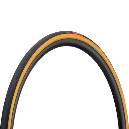 Specialized Turbo Cotton 輪胎