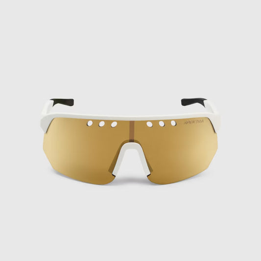 ASSOS DONZI Eyewear Gold Sunglasses