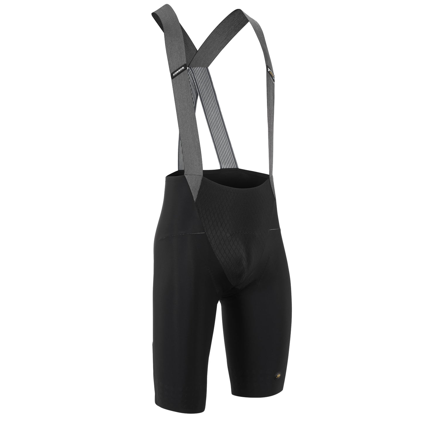 ASSOS MILLE GTO Bib Shorts C2 LongLeg