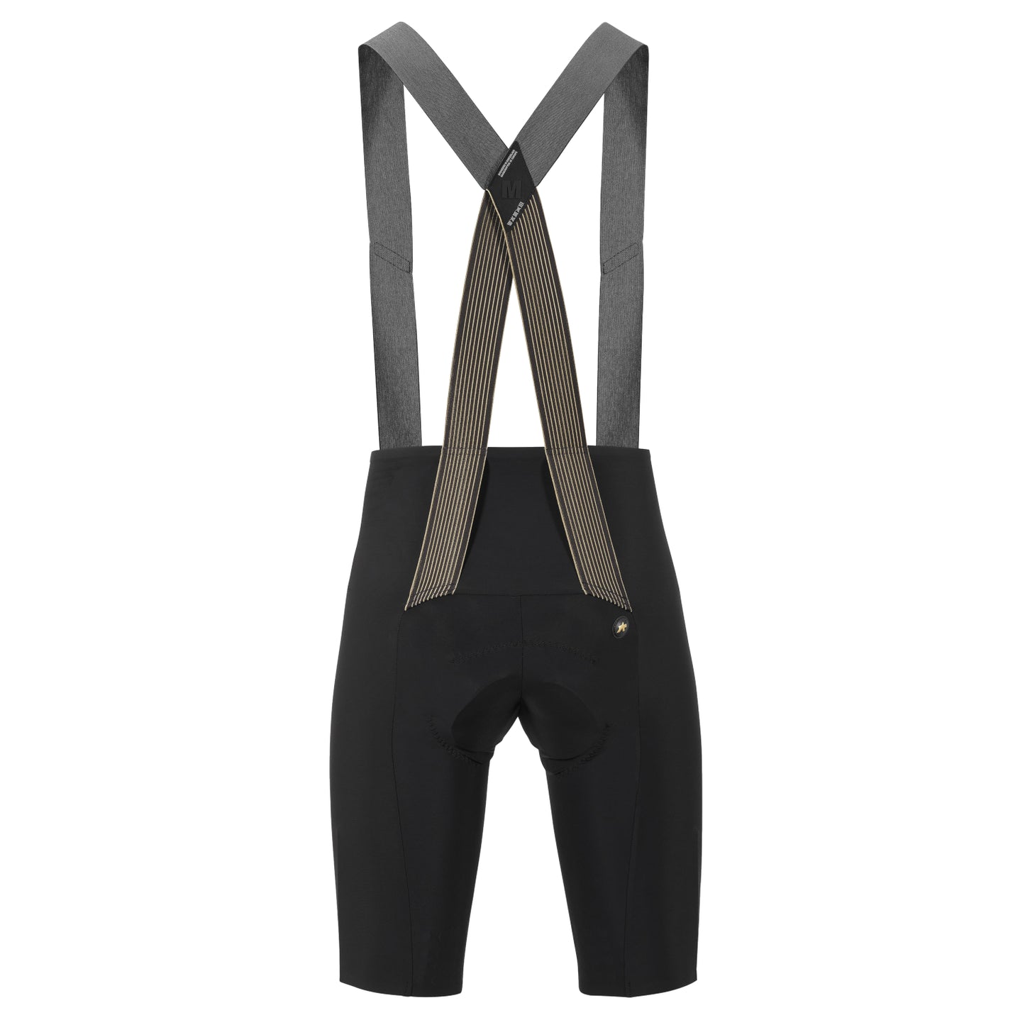 ASSOS MILLE GTO Bib Shorts C2 LongLeg