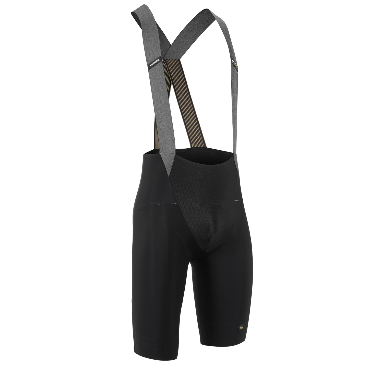 ASSOS MILLE GTO Bib Shorts C2 LongLeg