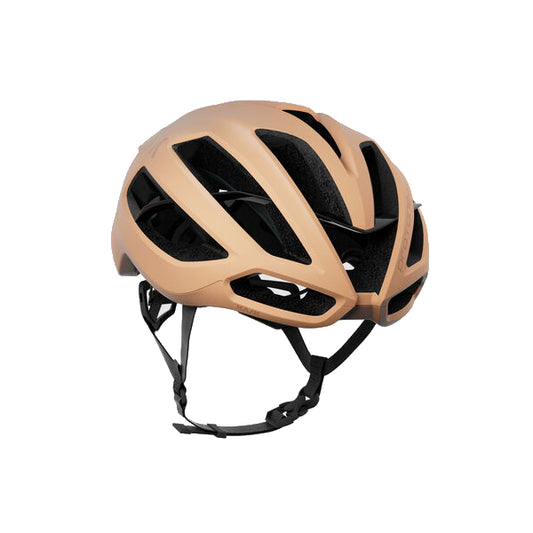 KASK Protone Icon Helmet