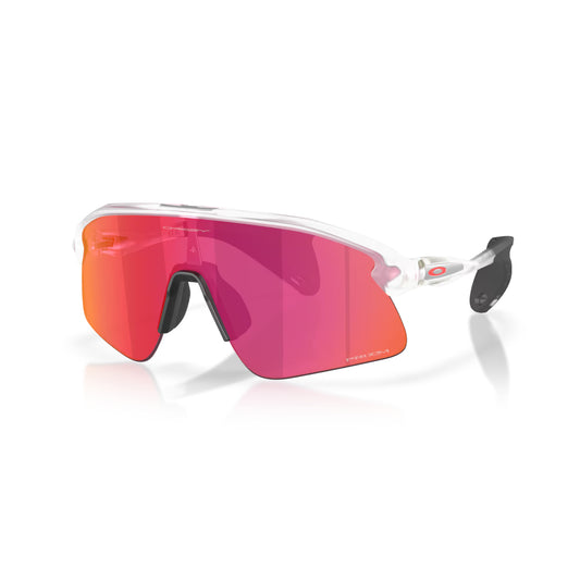 Oakley Stunt Devil 太陽眼鏡 霧面透明