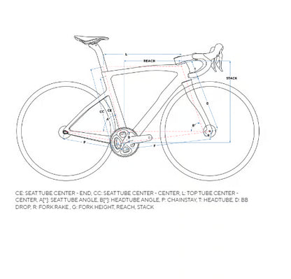 Pinarello F5 公路車